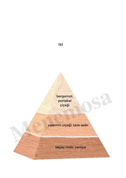 153 + 153 Kadın Parfüm Edp  Floral - Mnms1532 - Resim 2