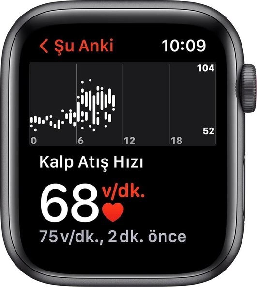 Apple Watch SE GPS + Cellular 40mm Uzay Grisi Alüminyum Kasa ve Spor Kordon Akıllı Saat (Apple Türkiye Garantili) - 5