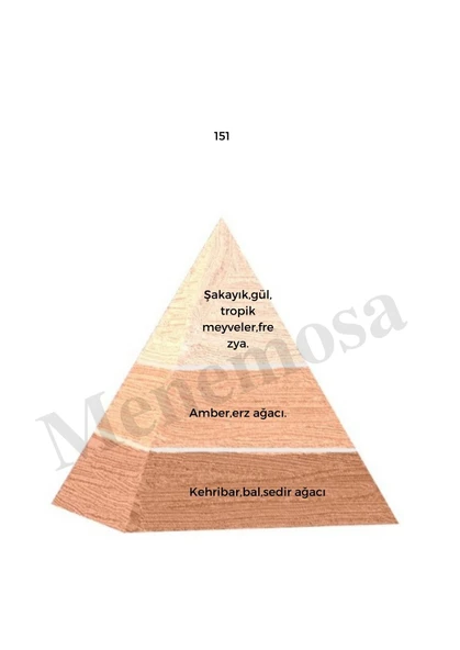 151 + 151 Kadın Parfüm Edp Floral - Mnms1512 - Resim 2