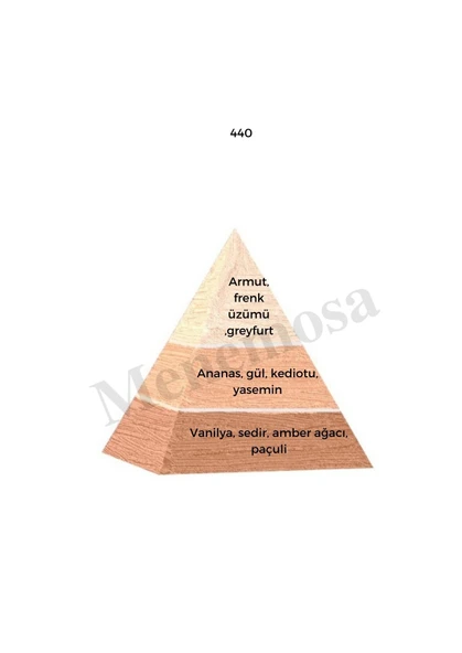 440 + 440  Kadın Parfüm Edp   Floral - Mnms4402 - Resim 2