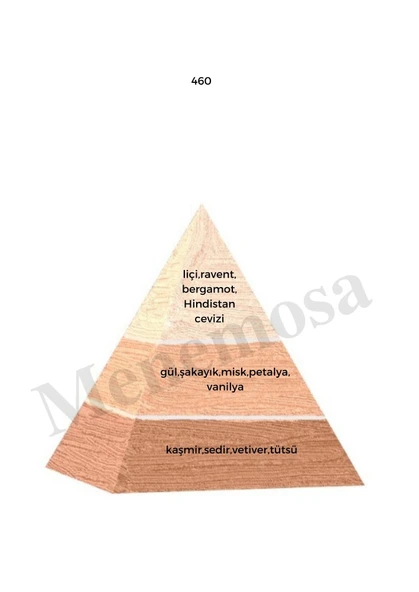 460 + 460  Kadın Parfüm Edp  Floral - Mnms4602 - Resim 2