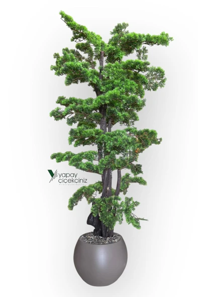 Modern Küre Saksıda 180 cm Yoğun Yapraklı Lüks Bonzai Bonsai Ağacı - Resim 2