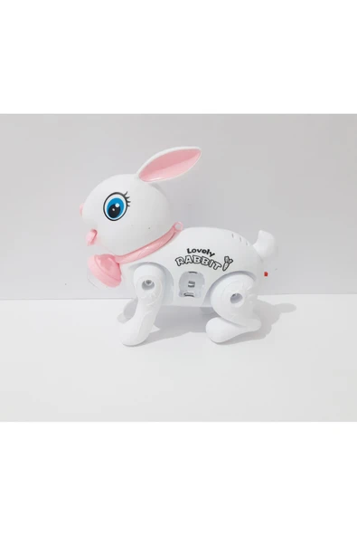 renkli çiçekler 17.5x15 CM Pilli Oyuncak Yürüyen Tavşan Çocuklar İçin Hediye - Resim 5