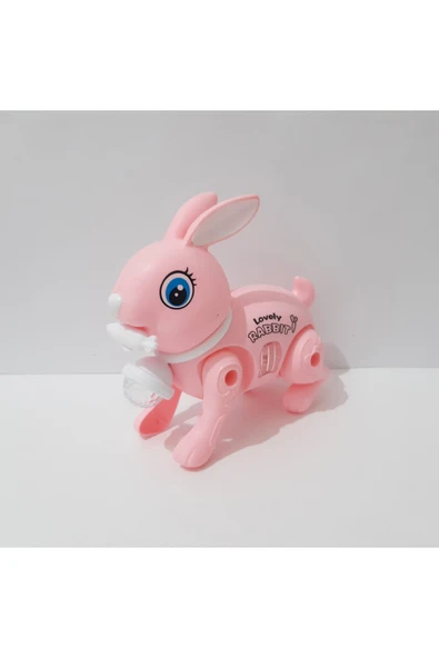 renkli çiçekler 17.5x15 CM Pilli Oyuncak Yürüyen Tavşan Çocuklar İçin Hediye - Resim 4