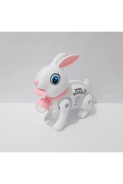 renkli çiçekler 17.5x15 CM Pilli Oyuncak Yürüyen Tavşan Çocuklar İçin Hediye - Resim 4