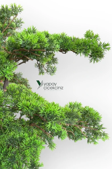 Modern Küre Saksıda 180 cm Yoğun Yapraklı Lüks Bonzai Bonsai Ağacı - Resim 3