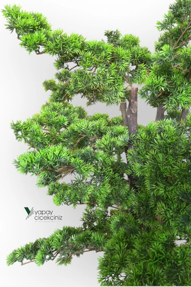 Modern Küre Saksıda 180 cm Yoğun Yapraklı Lüks Bonzai Bonsai Ağacı - Resim 6