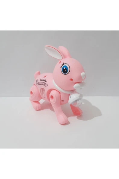 renkli çiçekler 17.5x15 CM Pilli Oyuncak Yürüyen Tavşan Çocuklar İçin Hediye - Resim 2