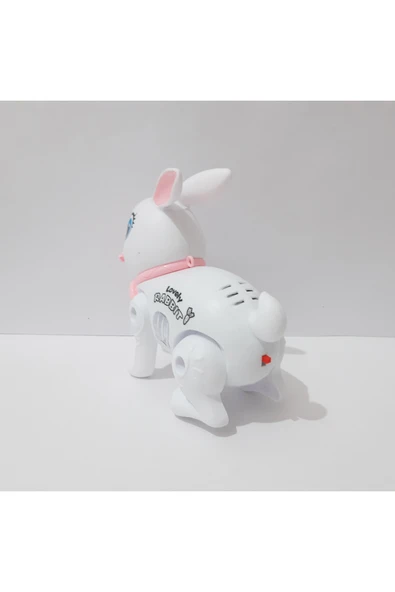 renkli çiçekler 17.5x15 CM Pilli Oyuncak Yürüyen Tavşan Çocuklar İçin Hediye - Resim 6
