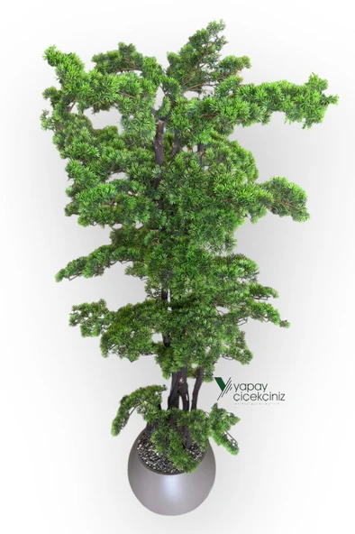 Modern Küre Saksıda 180 cm Yoğun Yapraklı Lüks Bonzai Bonsai Ağacı - Resim 5