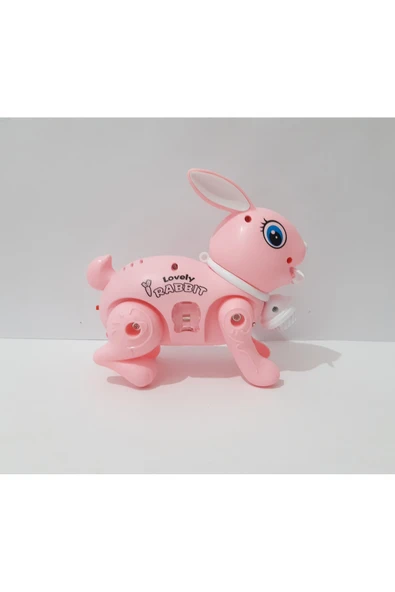 renkli çiçekler 17.5x15 CM Pilli Oyuncak Yürüyen Tavşan Çocuklar İçin Hediye ürün görseli