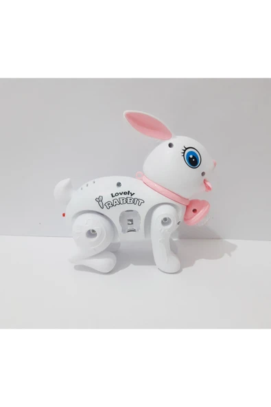 renkli çiçekler 17.5x15 CM Pilli Oyuncak Yürüyen Tavşan Çocuklar İçin Hediye ürün görseli 1
