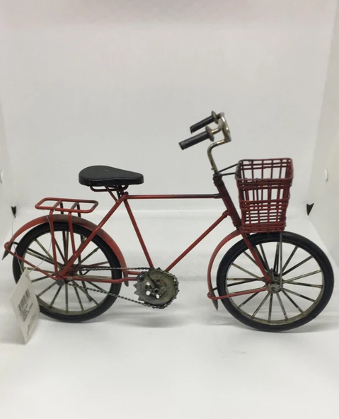 Lebron Dekoratif Metal Bisiklet - Resim 2