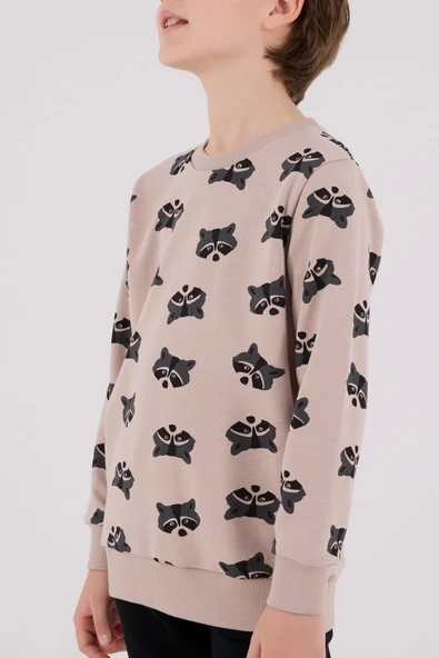 Roly Poly Erkek Çocuk Bej Desenli Pamuklu Uzun Kollu Eşofman Takım - 3