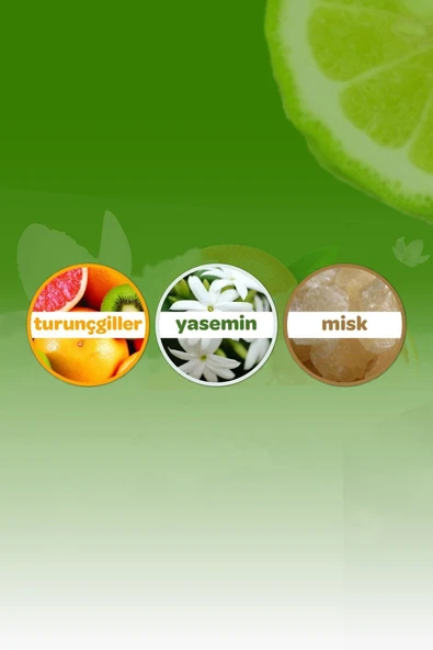 DALİN ORMAN ESİNTİSİ KOLONYA 150 ML - Resim 4