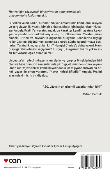 Bir Hayat Nefesi - Resim 3