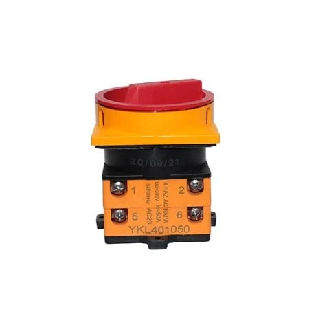 Opaş 4x50A 0-1 Aç-Kapa Kilitli Pako Şalter - YKL401050 ürün görseli 1