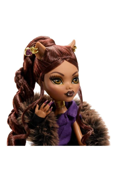 Clawdeen Wolf House of Wolf bebek, Şık kabanı ve özel aksesuarlarıyla JDR66 - 7