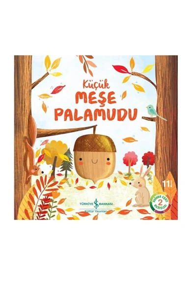 Küçük Meşe Palamudu ürün görseli