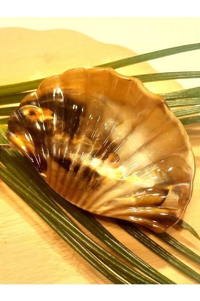 Monalisa Home 8 cm Lüks Renkli Parlak Kıstırma Toka ürün görseli