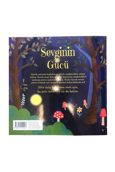 Sevginin Gücü - Caroline Richards - Resim 2