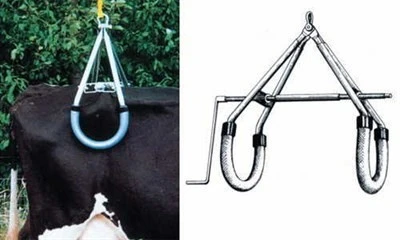 Kerbl Sığır Kaldırma Aparatı 900 Kg-İthal - Resim 6