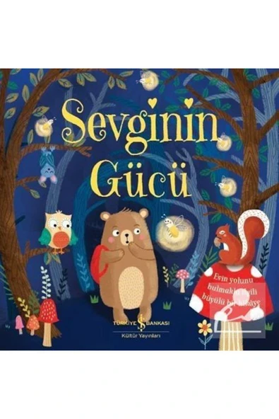 Sevginin Gücü ürün görseli