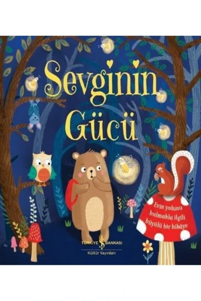 Sevginin Gücü - Caroline Richards ürün görseli