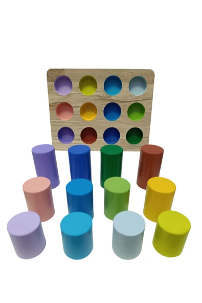 Sekk O Eğitici Ahşap Oyuncak Zihin Geliştirici Boyalı Renk Çeşitli Bul Tak Tablalı Silindir. Oyuncak