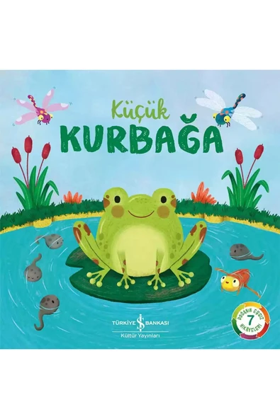 AAAA Küçük Kurbağa – Doğanın Eşsiz Hikâyeleri 7 (4+ Yaş) ürün görseli