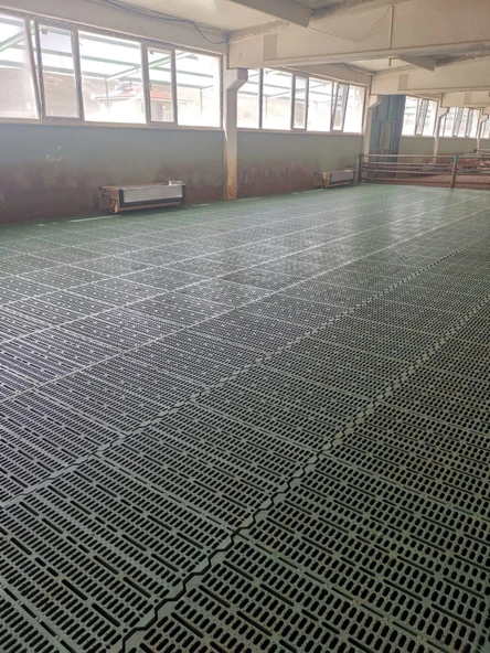 Küçükbaş Izgara 60 x 80 - Resim 4