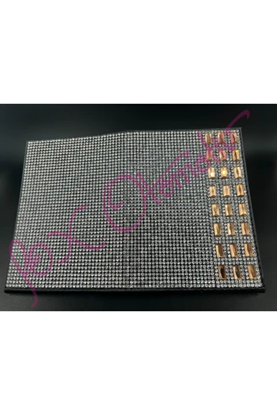 Gümüş Taşlı Gold Detaylı Ruhsat Kabı - 2