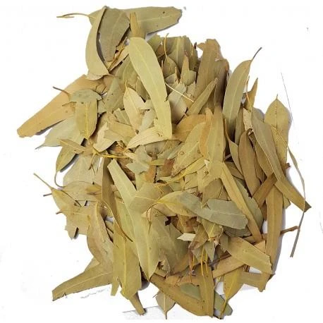 Okaliptüs Yaprağı 500 GR ürün görseli