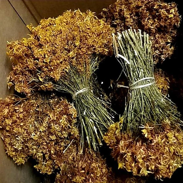 Kantaron Otu Sarı Demet ürün görseli