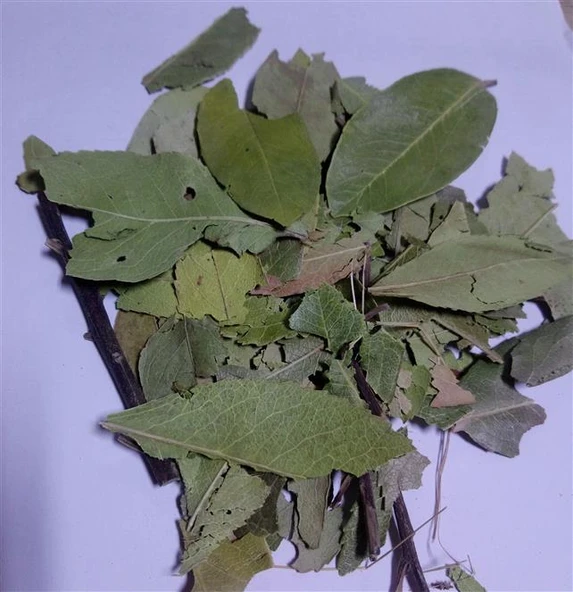 Dağ Çileği-kocayemiş Yaprağı Granül ürün görseli