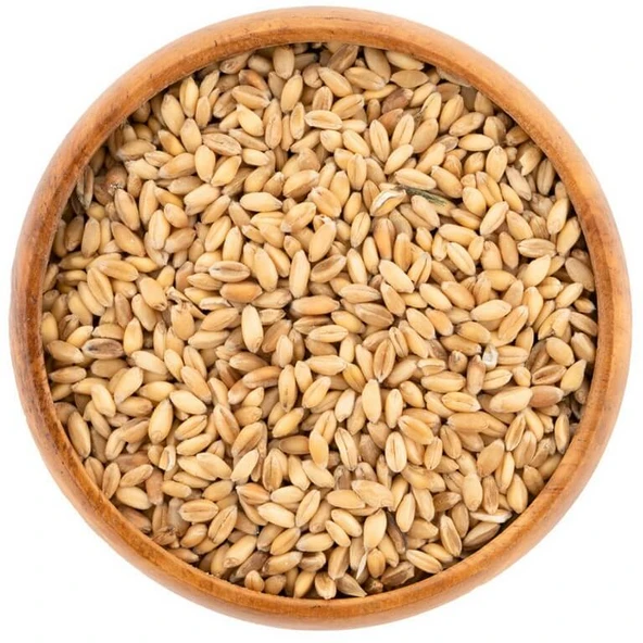 Buğday Kuş Yemi 25 Kg Çuval