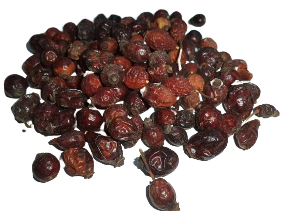 Kuşburnu Tane 2024 Mahsül Eski