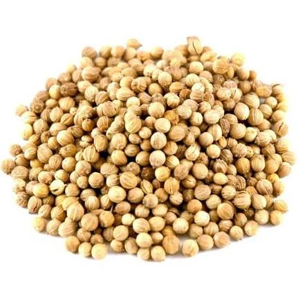 Kişniş Tane %1,5 Analiz İthal İri 100 GR ürün görseli 1