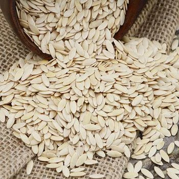 Salatalık Tohumu 250 GR ürün görseli