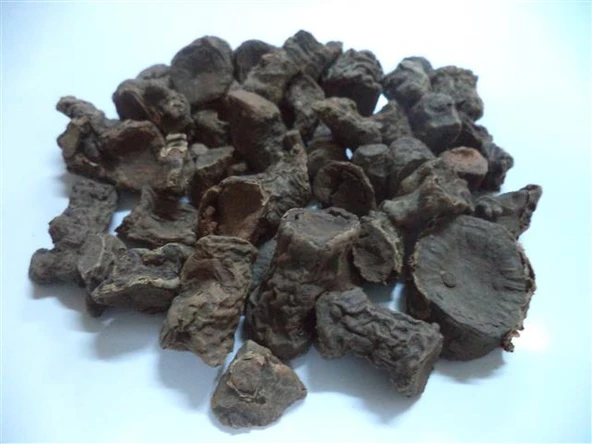 Andız Kökü (rizom) 100 GR