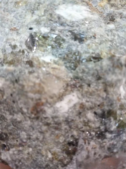 Cavi / Asilbent (benjoin Official) 10 GR