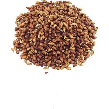 Süpürge Otu Tohumu 250 GR ürün görseli