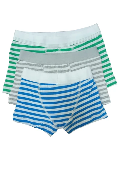 Blackspade Kampanyalı  Erkek Çocuk Çizgili Pamuk Boxer - 2