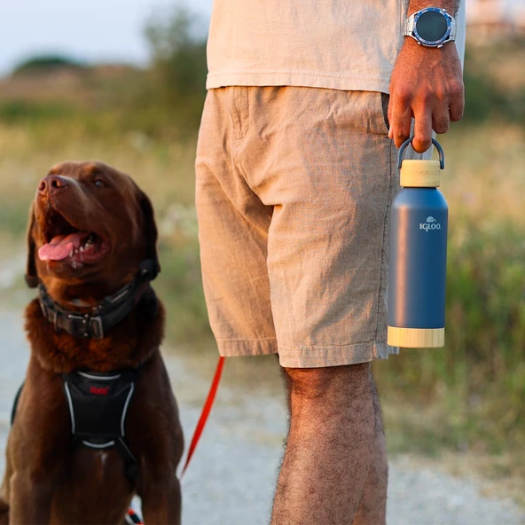 Igloo Hydrate Pro Termos 500ml-MAVİ - Resim 12
