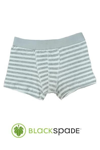 Blackspade Kampanyalı  Erkek Çocuk Çizgili Pamuk Boxer - 3