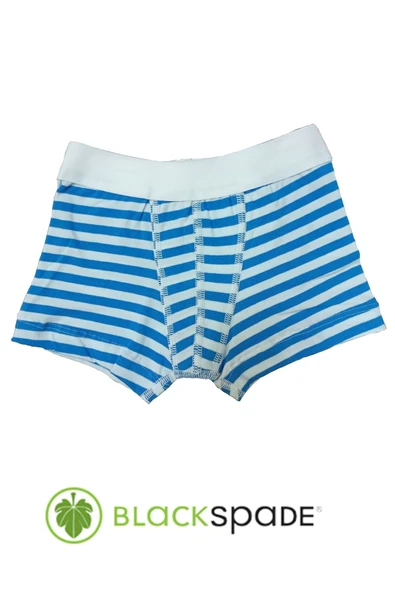 Blackspade Kampanyalı  Erkek Çocuk Çizgili Pamuk Boxer - 4