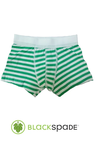 Blackspade Kampanyalı  Erkek Çocuk Çizgili Pamuk Boxer - 5