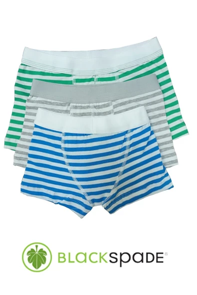 Blackspade Kampanyalı  Erkek Çocuk Çizgili Pamuk Boxer