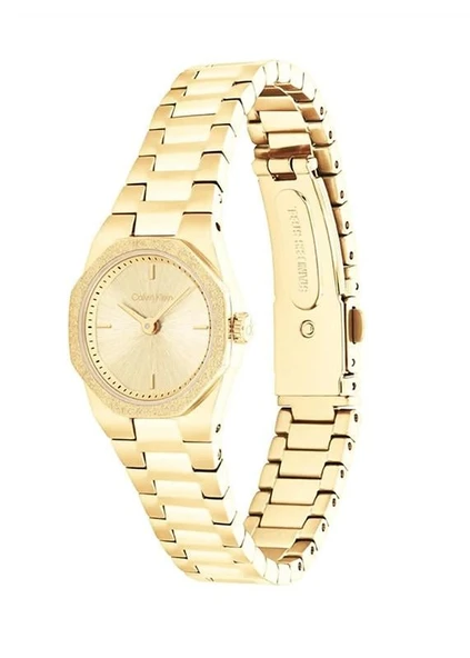 Calvin Klein CK25100142 Kadın Kol Saati - Resim 2