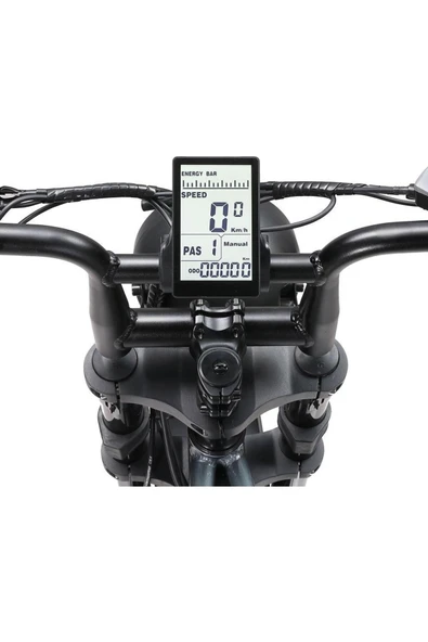 Ape Ryder A10 Iki Kişilik Elektrikli Bisiklet - 5